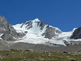 Gran Paradiso von Nordwesten mit Nordwestwand und Laveciau-Gletscher