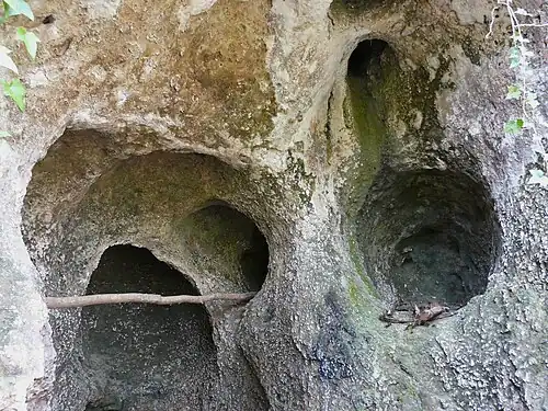 Inneres mit mehreren Karstlöchern