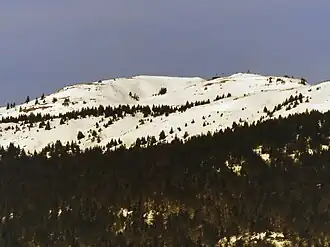 Der Grand Crêt (Bildmitte)