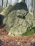 Granodiorit-Felsen des Weschnitzplutons mit Wollsack-Verwitterungsspuren. (Opfersteine-Gruppe auf der Juhöhe)