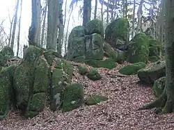 Granodioritfelsformation am Höhnberg mit typischen Verwitterungsmerkmalen (Spaltenbildung, Wollsackverwitterung, Vergrusung)