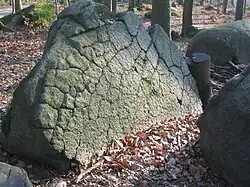 Ein Fels aus der Opfersteine-Gruppe auf der Juhöhe. Der Sage nach sind die Verwitterungsrisse die Kratzspuren des Teufels.