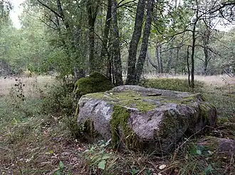 Stensträng mit Schalenstein