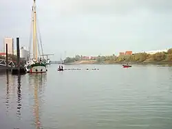 Der Anleger von Greenpeace am Reiherstieg, Höhe Ewersween