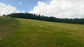 Gipfelbereich des Greifenberges von Südosten