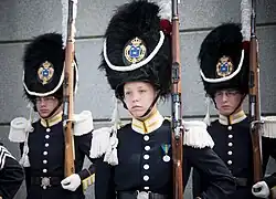 Leibgrenadiere (Schweden)