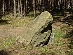 Grenzstein in Form eines Findlings, zwischen Schenkendorf und Damsdorf, siehe „Alle ehemaligen Grenzsteine im Kreisgebiet des ehemaligen Kreises Luckau…“