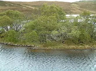 Grianan Island - Gebäudereste sind in der Bildmitte erkennbar