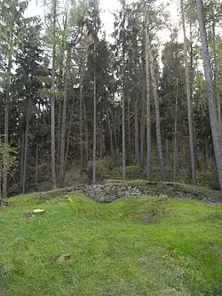 Relikte der Burganlage Grimmstein