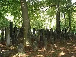 Grabplatten vom ehemaligen Grindelfriedhof