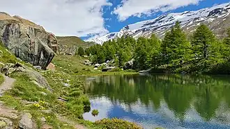 Wanderweg am Nordufer