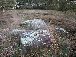 Großsteingrab Groß Berßen 4