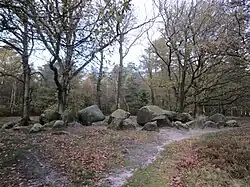 Großsteingrab Groß Berßen 8