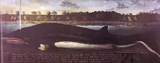 Großes Walbild (Franz Wulfhagen)