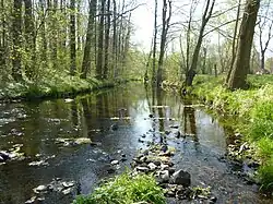 Das Gewässer ist im unteren Fließabschnitt mit seinen Uferzonen als gesetzlich geschütztes Biotop klassifiziert