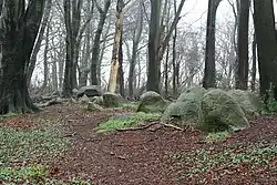 Großsteingrab Bliedersdorf 2