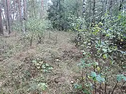 Großsteingrab Boltersen 2