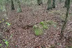 Großsteingrab Brookbäke 3