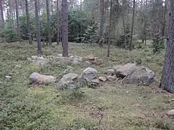 Großsteingrab Bruchtorf 1