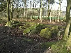 Großsteingrab Deymanns Mühle III