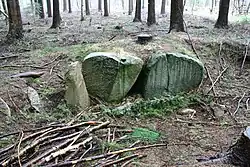 Großsteingrab Drangstedt 4