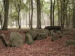 Großsteingrab Haaren 2