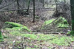 Großsteingrab Heine 1