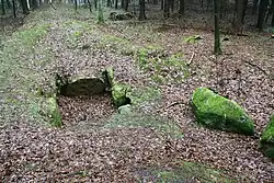 Großsteingrab Horneburg 4