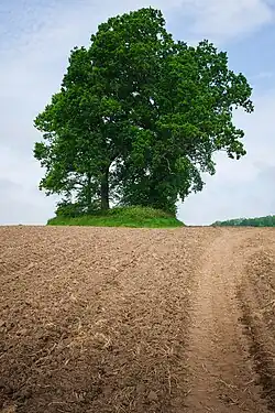 Süd-Nord-Sicht (Boden)