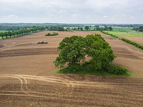 Ost-West-Sicht (Drohne)