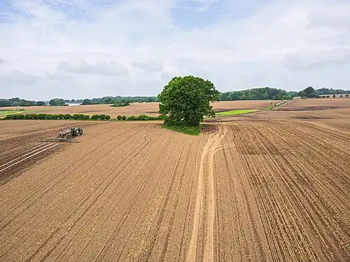 Süd-Nord-Sicht (Drohne)