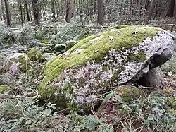 Polygonaldolmen von Lexow