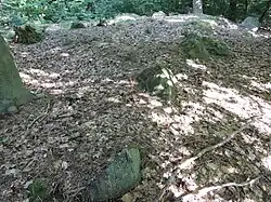 Großsteingrab Tosterglope 3