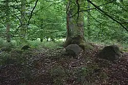 Großsteingrab Tribberatz 1