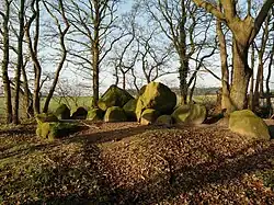 Großsteingrab am Osteresch