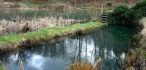 Ehemalige Mühlenteiche