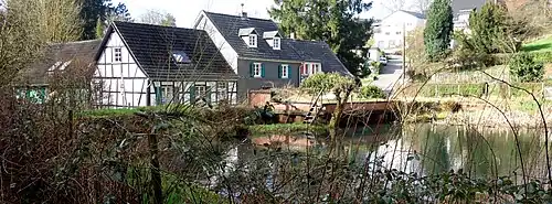 Ehem. Fischteich am Westrand des Naturschutzgebietes. Im Hintergrund die Gronenborner Mühle
