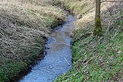 Der Holbach nahe Unterführung der Schnellfahrstrecke Köln–Rhein/Main