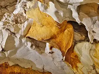 Farbig abgegrenzte Höhlenwandbereiche