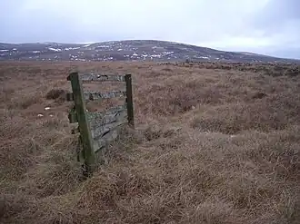 Blick auf den Harrows Law