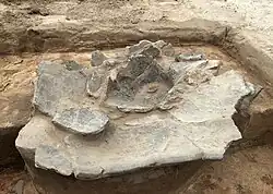 Scherbennest mit mehreren Gefäßen