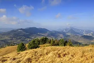 Blick vom Berg Wysocki Wierch