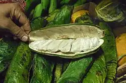 Eiscremebohne (Inga spectabilis, Inga edulis, Inga feuilleei u.&nbsp;a.)