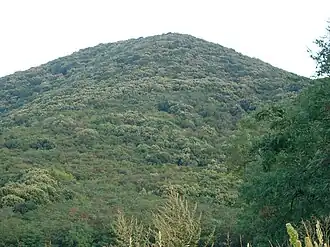 Blick auf den bewaldeten Berg