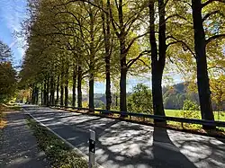 Allee Gummersbacher Straße bei Klaswipper