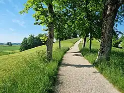 Der Fußweg über den Guntramshügel