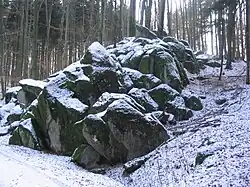 Granodioritfelsburg (Bügeleisengruppe) am Wald-Erlenbacher Hang des Höhnberges (375&nbsp;m)