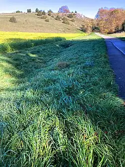 Höll­bach (2022), Aus­tritt nach der zweiten Kana­lisierung