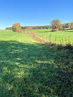 Höll­bach (2022), Blick in Rich­tung Quelle