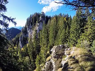 Höllstein und Höllsteinkamm